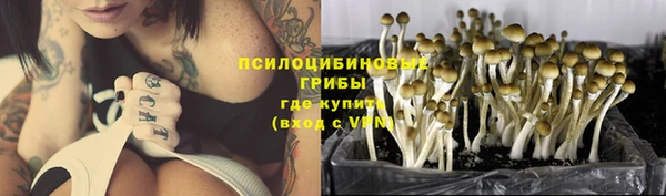 стаф Алексин
