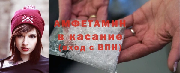 стаф Алексин