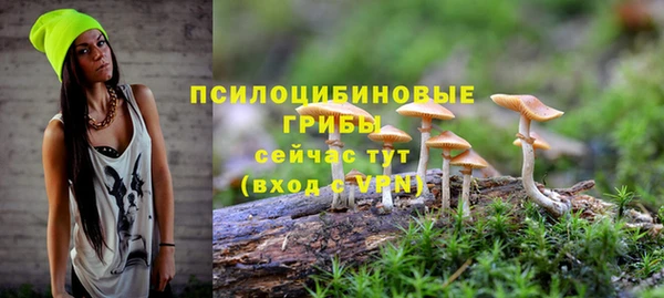 стаф Алексин
