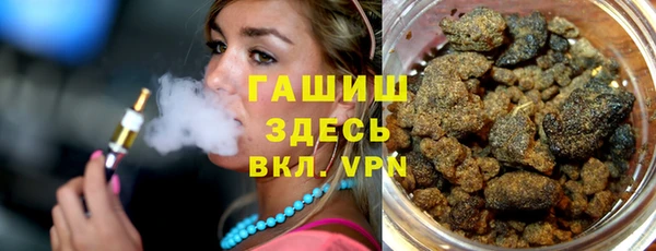 стаф Алексин