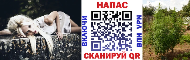 Бошки марихуана OG Kush Пучеж