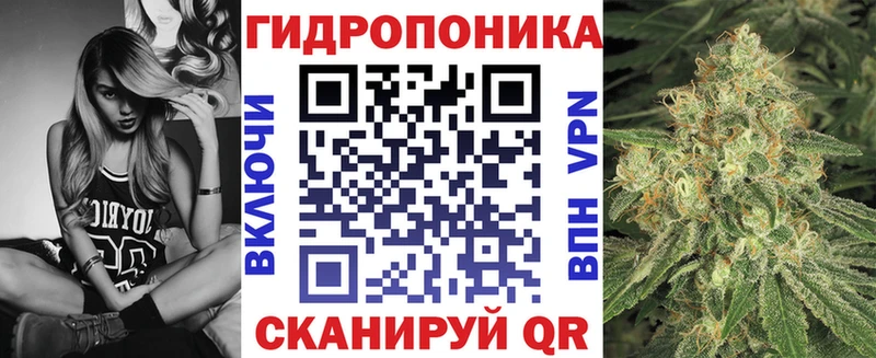 где можно купить наркотик  Пучеж  MEGA вход  МАРИХУАНА AK-47 